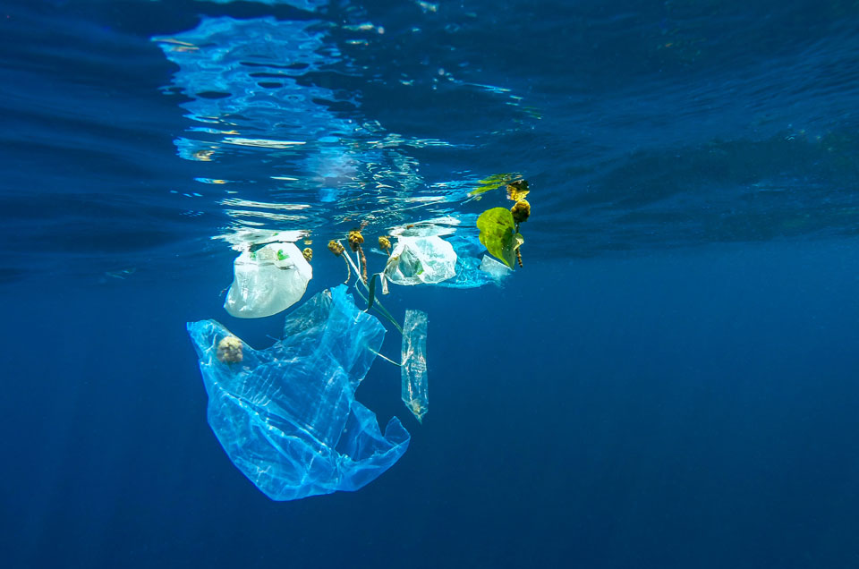 This 24 Year Old May Have a Plastic Pollution Solution